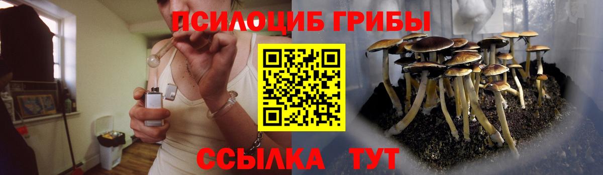 Галлюциногенные грибы Magic Shrooms  Псилоцибиновые грибы ЛСД  Саратов  Вход с VPN 