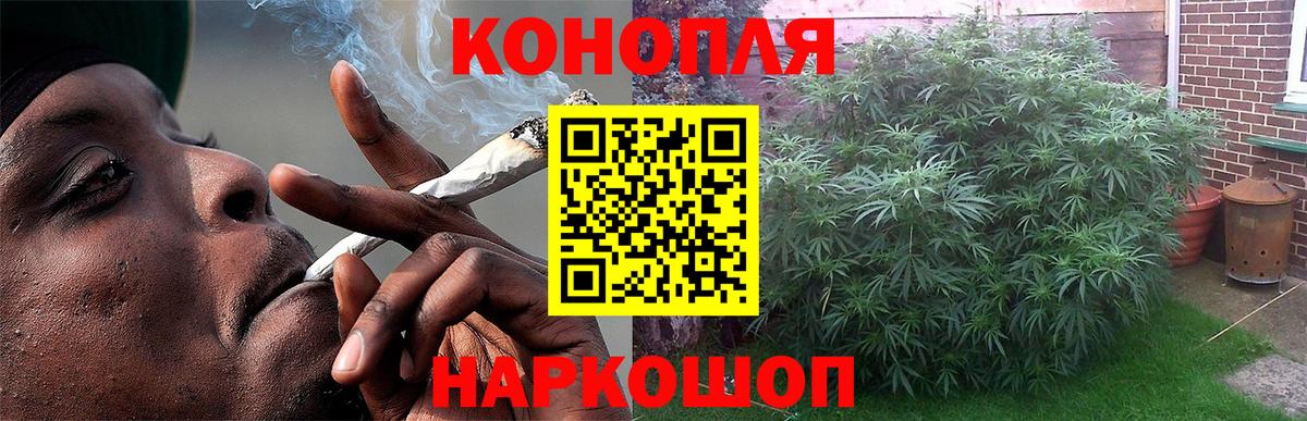 Бошки марихуана OG Kush Саратов